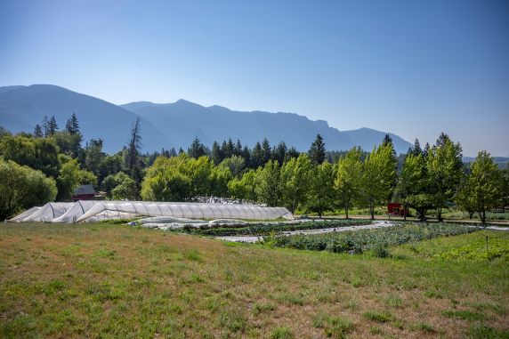 Cartwheel Farms, Creston, B.C.