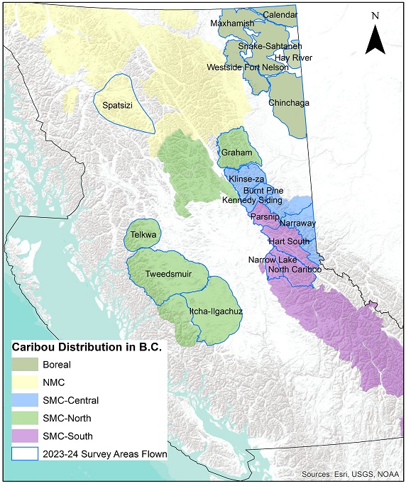 Map of caribou herds surveyed.