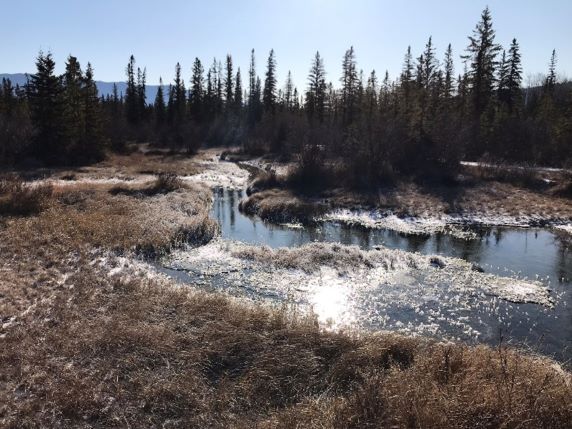 Headwaters of the Columbia River, Canal Flats, B.C.