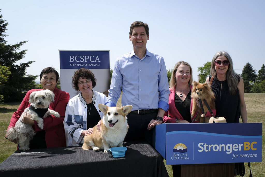 BC SPCA | BC Pet Registry | Making BC Stronger